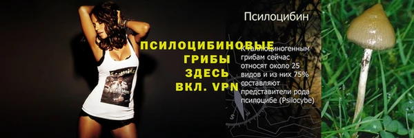 МДМА Абаза