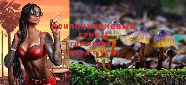 гашишное масло Алексеевка
