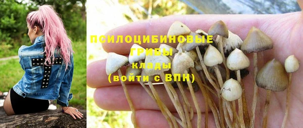спайс Алексин