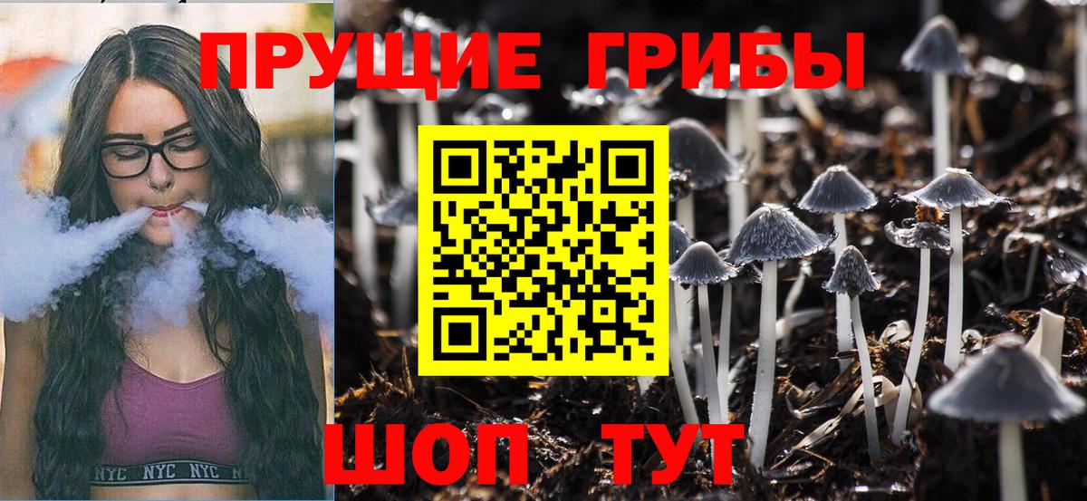 Псилоцибиновые грибы GOLDEN TEACHER  Вход с VPN  Шарыпово 